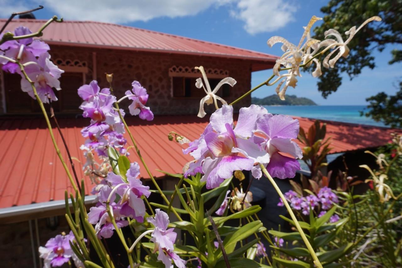 La Saline Villa อังส์ วอลแบร์ วิลเลจ ภายนอก รูปภาพ